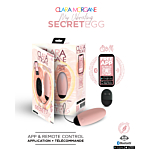 Clara Morgane My Vibrating Secret EGG Pink